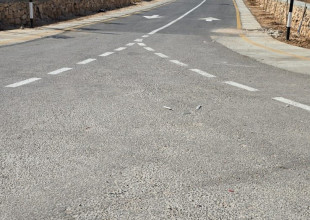 البلدية تستكمل زراعة الأشجار في منطقة خلة انياص