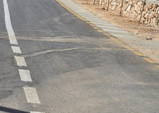 البلدية تستكمل زراعة الأشجار في منطقة خلة انياص