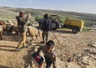 إصابة مواطنة في اعتداء للمستوطنين على "غوين"