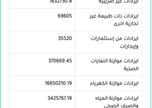 موازنة المواطن 2024