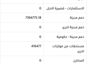موازنة المواطن 2024