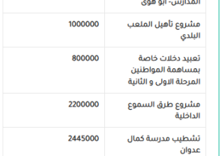 موازنة المواطن 2024