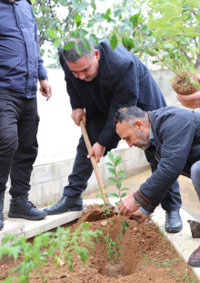 البلدية تشارك في حملة تخضير بلادي بمدرسة شهداء السموع
