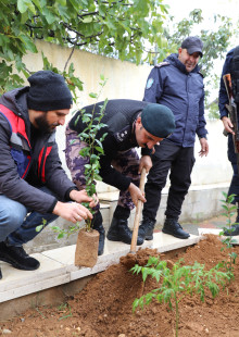 البلدية تشارك في حملة تخضير بلادي بمدرسة شهداء السموع