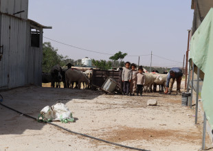 البلدية تشارك أهالي "غوين" في جلسة توثيقية لضبط انتهاكات المستعمرين وتخريبهم