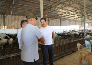 الاتحاد الأوروبي والزراعة يتفقدون مشروع محطة تحسين السلالات