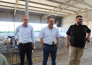الاتحاد الأوروبي والزراعة يتفقدون مشروع محطة تحسين السلالات