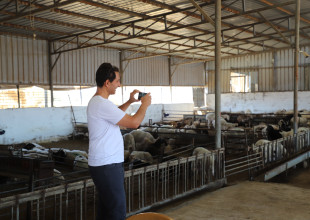 الاتحاد الأوروبي والزراعة يتفقدون مشروع محطة تحسين السلالات