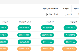 موازنة المواطن 2024